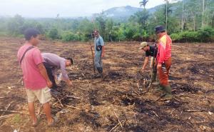 Dukung Ketahanan Pangan Nasional, Bhabinkamtibmas Polsek Lebong Atas Kawal Penanaman Jagung 1 Hektare
