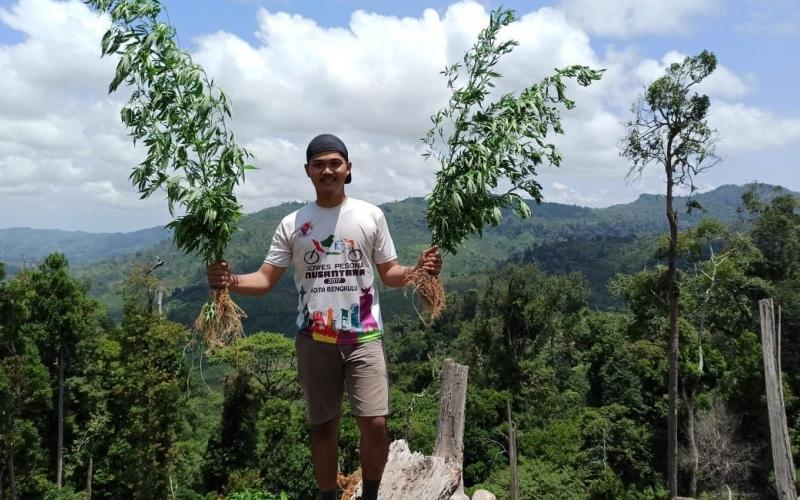 Temuan Ladang Ganja