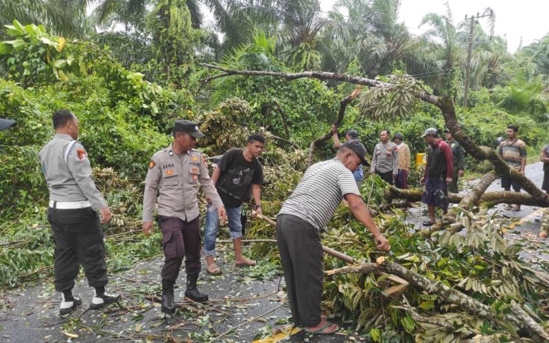 Dibantu Warga, Personel Polsek Maje Evakuasi pohon Tumbang yang Mengahadang Jalan 