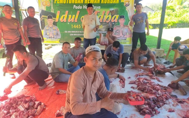 Hari Raya Idul Adha 1445 H, Polres Kaur Kurban Sembilan Ekor Sapi