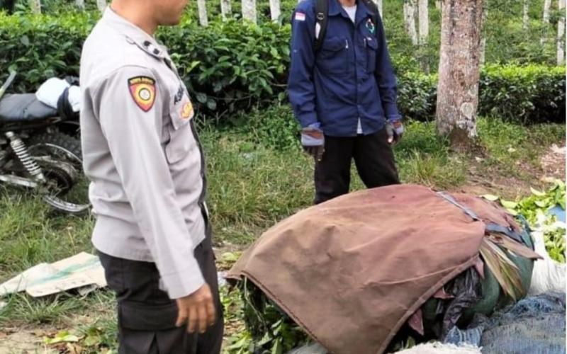 Polres Kepahiang Laksanakan Patroli Dialogis Ajak Masyarakat Sama-Sama Jaga BB Sitkamtibmas Jelang Pilkada 2024 Tetap Aman dan Kondusif 