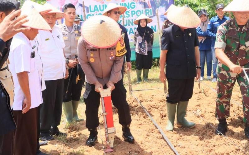 Polres Kaur Dukung Ketahanan Pangan Nasional dengan Tanam Jagung di Lahan 1 Hektar 