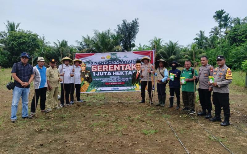 Polsek Kedurang Ilir dan Warga Desa Limus Sukseskan Program Penanaman Jagung Serentak 1 Juta Hektar