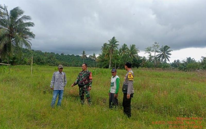 Bhabinkamtibmas Polsek Seginim Pantau Kebun Jagung dalam Program Ketahanan Pangan