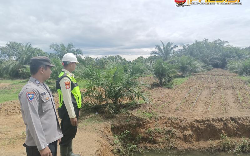 Polsek Pino Raya Lakukan Pemantauan Lahan Ketahanan Pangan di Desa Nanjungan