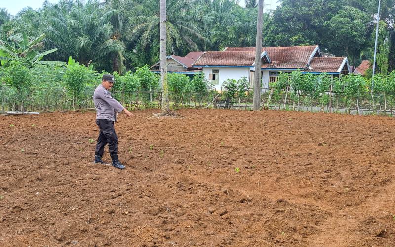 Polsek Talo Dukung Ketahanan Pangan Nasional Lewat Pemantauan Lahan Pertanian
