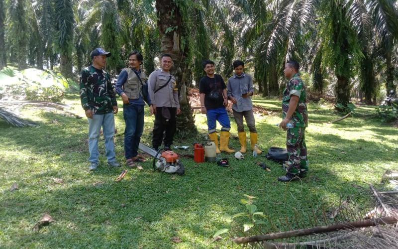 Bhabinkamtibmas Polsek Manna Laksanakan Pendampingan Pemangkasan Pohon di Jalur SUTET