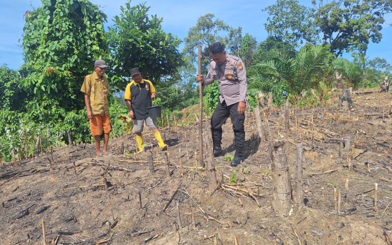 Polsek Kedurang Ilir Tanam Jagung di Lahan 1 Hektar untuk Tingkatkan Ketahanan Pangan