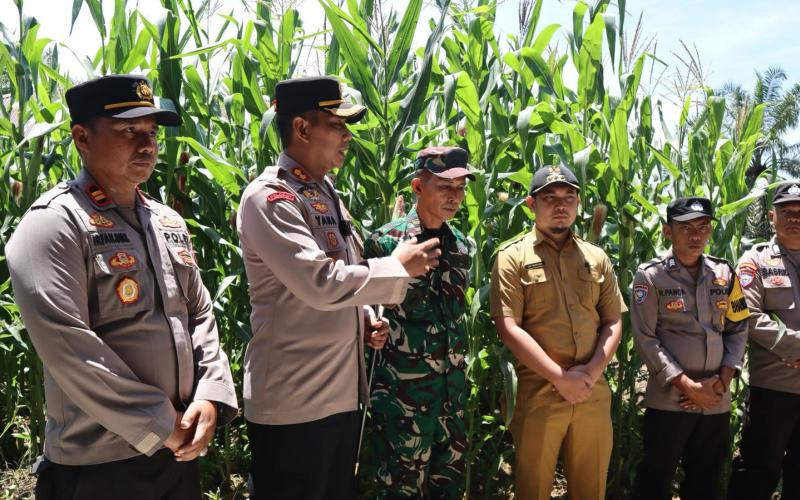 Polres Mukomuko Tanam Jagung, Dukung Program Ketahanan Pangan Presiden Prabowo Subianto