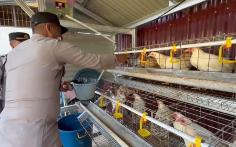 Polsek Pagar Jati Cek Perkarangan Bergizi, Dukung Ketahanan Pangan