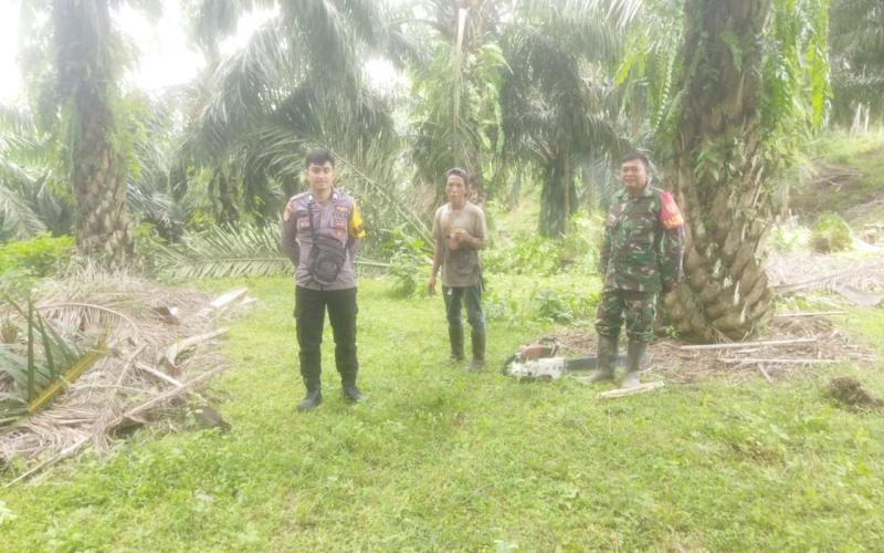 Polres Bengkulu Selatan Dampingi Pemangkasan Pohon di Jalur SUTET untuk Keamanan Listrik 