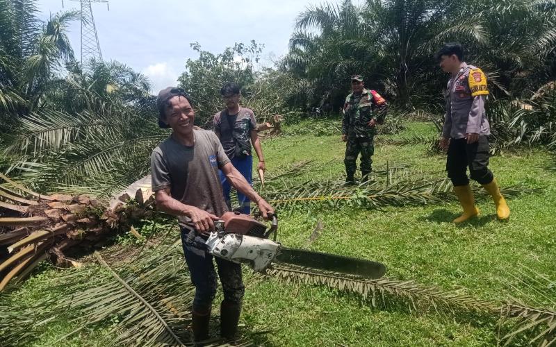 Polres Bengkulu Selatan Lakukan Pendampingan Pemangkasan Pohon di Jalur SUTET