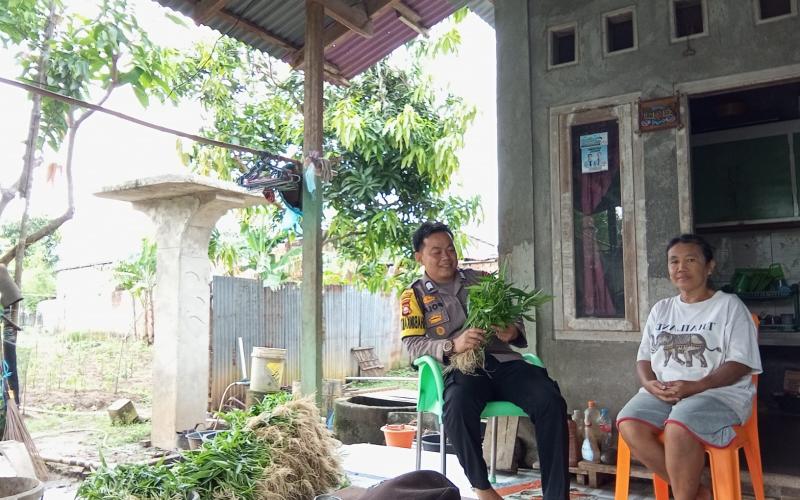 Bhabinkamtibmas Bumi Ayu Ajak Warga Manfaatkan Pekarangan untuk Ketahanan Pangan