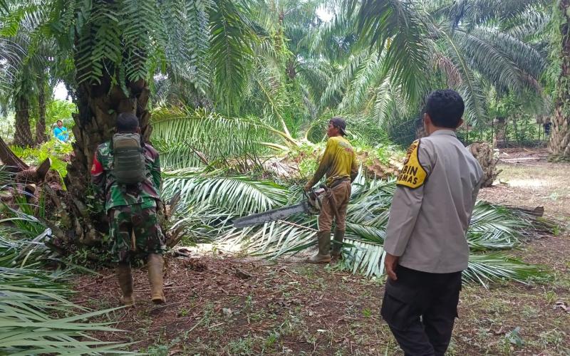 Polres Bengkulu Selatan Dampingi Pemangkasan Pohon di Jalur SUTET untuk Keamanan Listrik