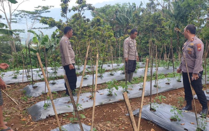 Polsek Lebong Selatan Siapkan Launching Program Pekarangan Pangan Lestari