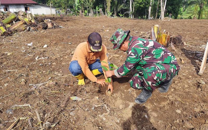 Wujudkan Lingkungan Lestari, Satgas TMMD Tanam Pohon Bersama Masyarakat