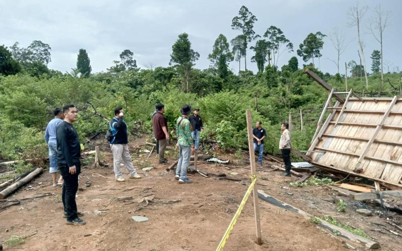 Misteri Dua Ekor Gajah Di Mukomuko, Organ Dalam  Diuji Laboratorium
