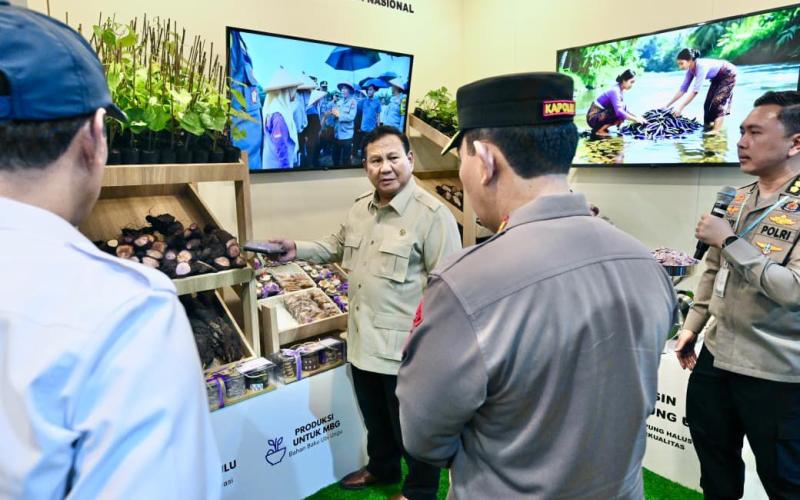 Panen Raya Jagung Bersama Presiden Prabowo, Petani Optimistis Swasembada Pangan Tercapai