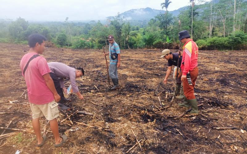 Dukung Ketahanan Pangan Nasional, Bhabinkamtibmas Polsek Lebong Atas Kawal Penanaman Jagung 1 Hektare