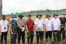 Bupati Tanam Perdana Pohon Buah di Hutan Kota Kabupaten Seluma