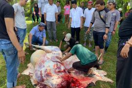 Momen Iduladha 1444 H, Polres Mukomuko Laksanakan Pemotongan dan Pendistribusian Daging Hewan Kurban Presisi