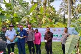 Lestarikan Lingkungan dan Kurangi Dampak Pemanasan Global, Polres Kaur dan Polsek Jajaran Tanam 1000 Pohon 