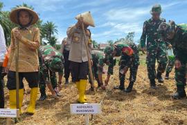 Dukung Ketahanan Pangan Polres Mukomuko Tanam Bibit Jagung 