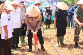 Polres Kaur Dukung Ketahanan Pangan Nasional dengan Tanam Jagung di Lahan 1 Hektar 