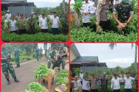 Kapolsek Muara Bangkahulu Hadiri Panen Perdana Tanaman Kangkung di Lahan Koramil 407-06 Muara Bangkahulu