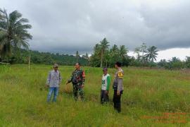Bhabinkamtibmas Polsek Seginim Pantau Kebun Jagung dalam Program Ketahanan Pangan