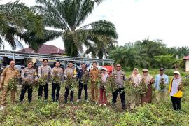 Polres Bengkulu Selatan Gelar Panen Kacang untuk Dukung Ketahanan Pangan