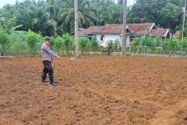 Polsek Talo Dukung Ketahanan Pangan Nasional Lewat Pemantauan Lahan Pertanian