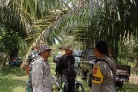 Polres Bengkulu Selatan Lakukan Pendampingan Pemangkasan Pohon di Jalur Sutet
