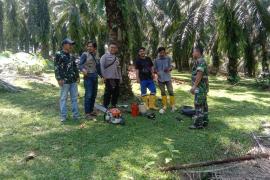 Bhabinkamtibmas Polsek Manna Laksanakan Pendampingan Pemangkasan Pohon di Jalur SUTET