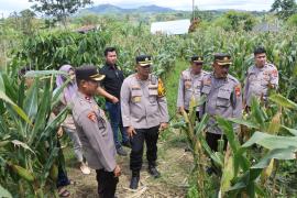 Polres Kepahiang Dukung Ketahanan Pangan Nasional Lewat Program Penanaman Jagung