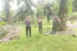 Polres Bengkulu Selatan Dampingi Pemangkasan Pohon di Jalur SUTET untuk Keamanan Listrik 