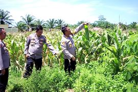 Polres Bengkulu Selatan Dukung Program Ketahanan Pangan dan Gizi Nasional