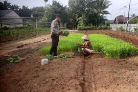 Polsek Talang Empat Pantau Perkembangan Pekarangan Pangan Bergizi di Desa Nakau