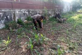 Sukseskan Ketahanan Pangan, Bhabinkamtibmas Polsek Ratu Samban Kunjungi Warga di Lahan Perkarangan