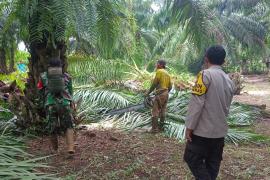 Polres Bengkulu Selatan Dampingi Pemangkasan Pohon di Jalur SUTET untuk Keamanan Listrik