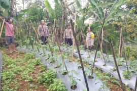 Kapolsek Lebong Selatan Pantau Persiapan Launching Penguatan Program Pekarangan Pangan Lestari