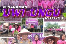 Polres Kaur Dukung Ketahanan Pangan Nasional