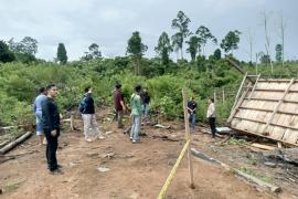 Misteri Dua Ekor Gajah Di Mukomuko, Organ Dalam  Diuji Laboratorium